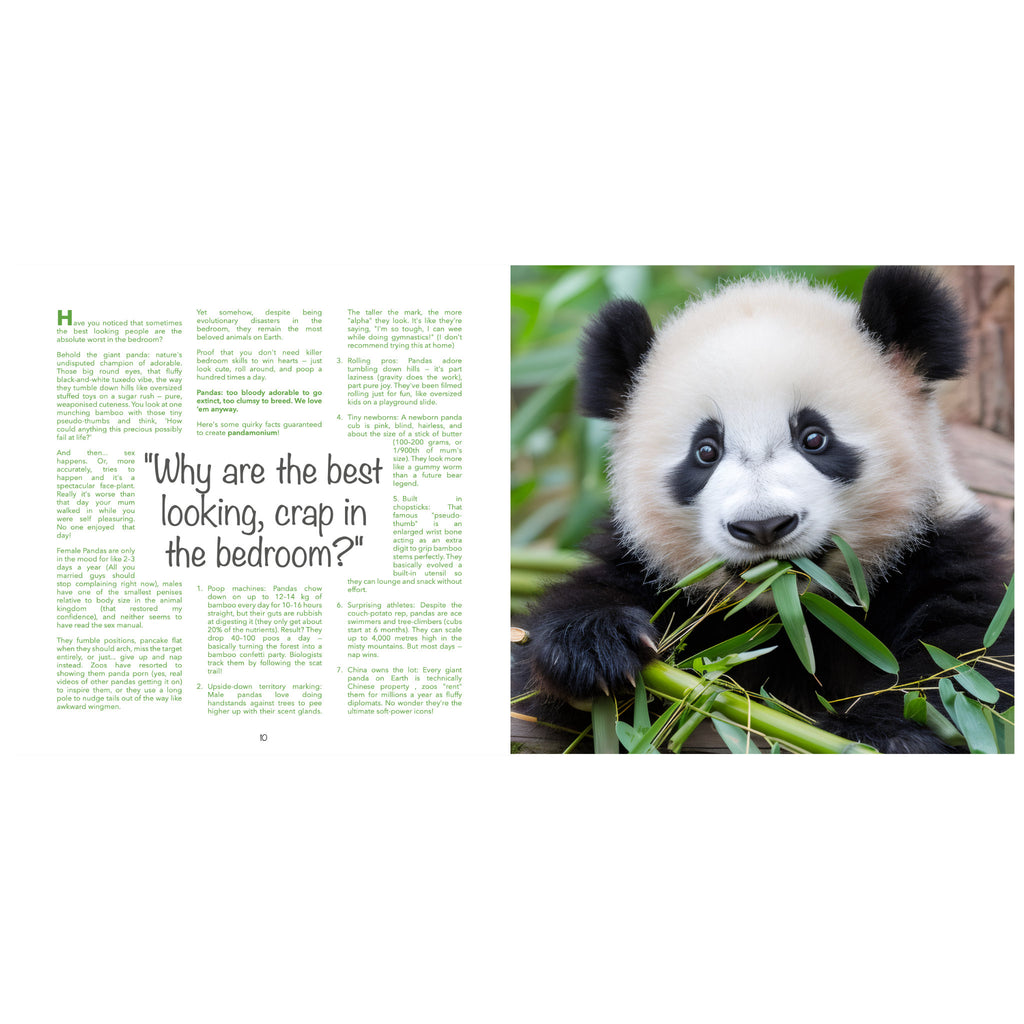 ANIMAL WISDOM - For confused humans - HardCover